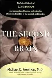second brain